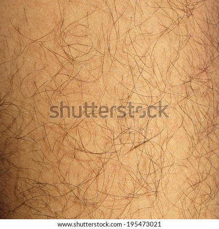 Mans hairy leg