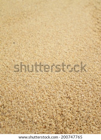 Sand background. Closeup sand. Beach sand in the summer