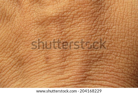 Human skin macro texture