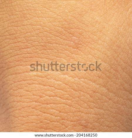 human skin macro texture stock photo 65616337 stock images similar to id 65616337 human skin macro texture human skin macro texture stock photo 65616337 stock images similar to id 65616337 human skin macro texture
