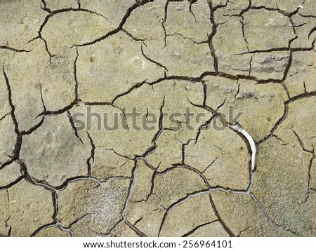 Wet and Dry Cracked Soil texture Background