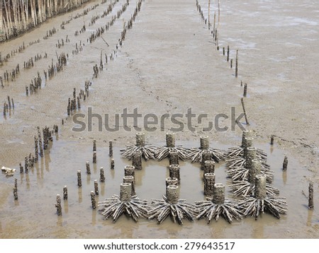 Old bamboo fence protect sandbank from sea wave