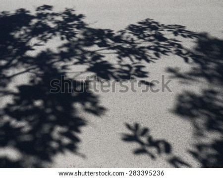 tree shadow on asphalt road