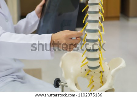 Professional doctor pointed on area of anatomical model spine. medical and orthopedic concept.