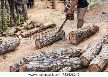 Timber cutting wood with  old saw, chainsaw and blade.