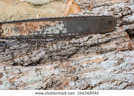 Timber cutting wood with  old saw, chainsaw and blade.