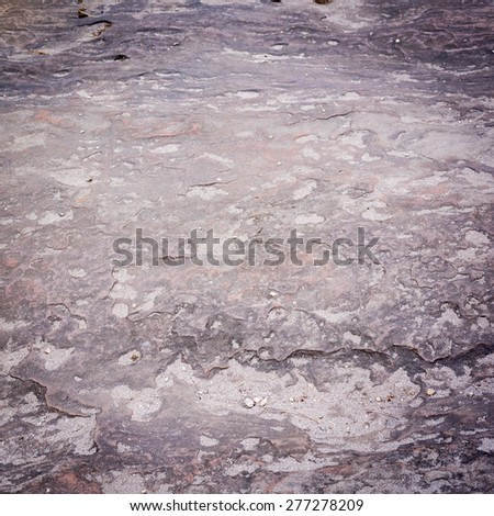 Gray limestone path with moss in nature as background texture