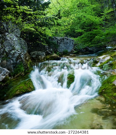 Fast stream in the Grand Canyon of Crimea. All around are green and fresh, it\'s spring.