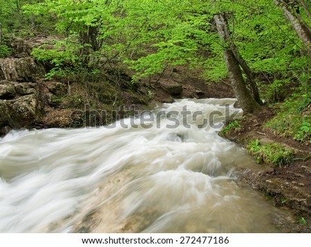 Mountain river. Water. Spring
