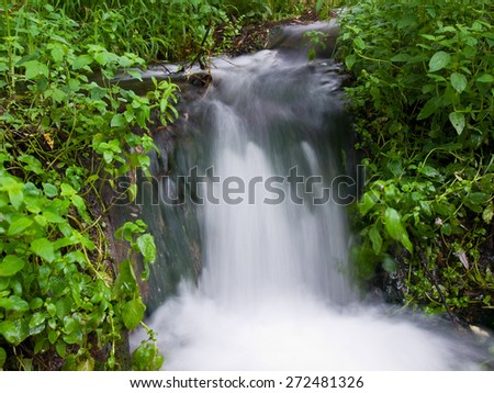 Small waterfall thru green freshes plants