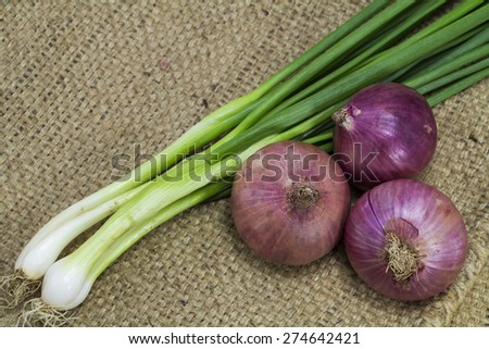 Onion and spring onion on sack background