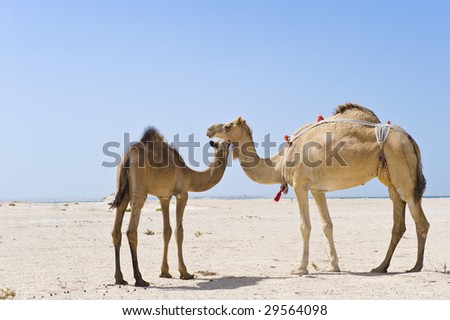 A Mother Standing