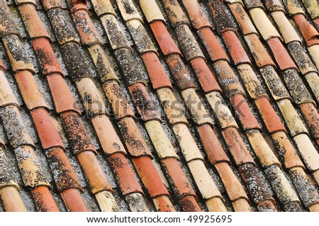 An old tile roof with moss growing, typical design and construction of the late 19th century.