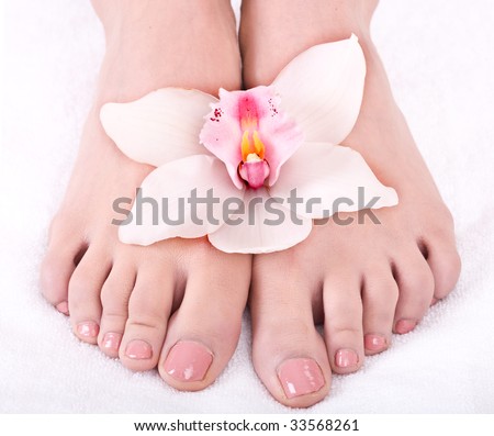 Woman foot with flower lily. Isolated.