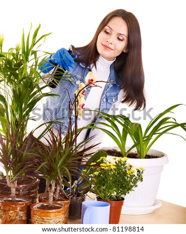 Woman  looking after houseplant at home.