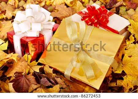 Autumn still life with group gift box. Outdoor.