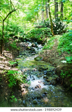 Running creek in woods at mountain