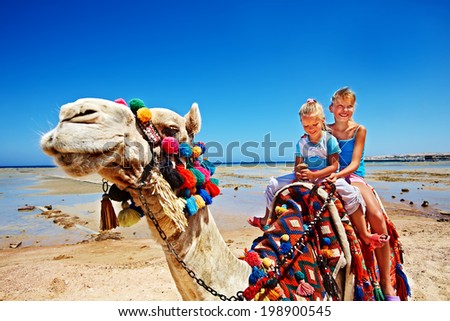 Tourists children riding camel  on the beach of  Egypt. Sharpness on a camel.