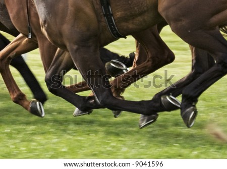 Galloping Racehorse