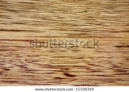 tasmanian oak grain