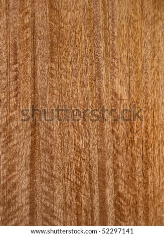 cedar wood background