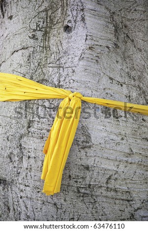 waiting with yellow ribbon tied around old scarred tree