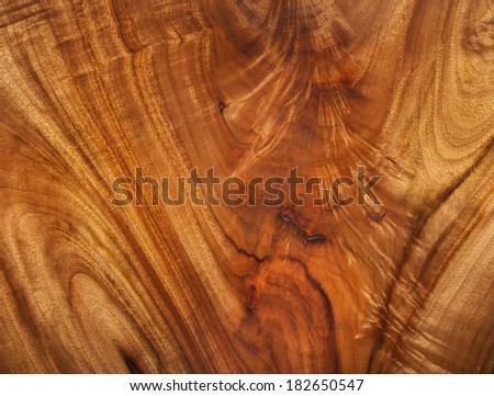 camphor laurel timber beautiful color timber