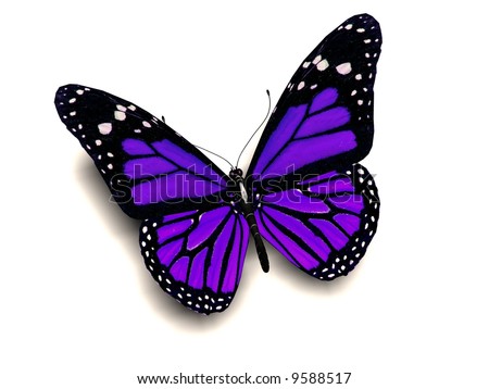 stock photo A 3D image of a purple butterfly