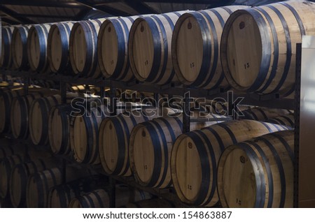 group for wine barrels in winery well ordered
