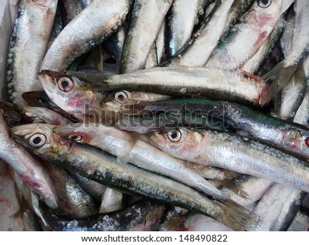 Crated cold stored fish at a market stall in Carpaneto in Piacenza in northern Italy