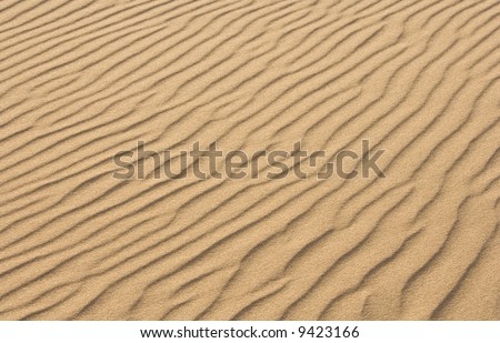Rippled pattern seen in windswept sand.