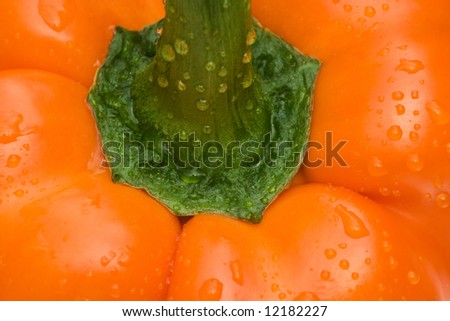 Close up of a healthy orange bell pepper covered with water droplets, which conveys a feeling of a healthy lifestyle and a healthful diet.