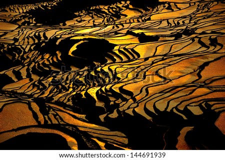 The  early bird catches the worm. This illustrates the beautiful sunrise over china\'s famous rice fields.