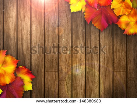 Nature autumn sale design background with space