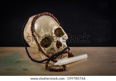 the death human skull as stil life ideal for art and other purposes
