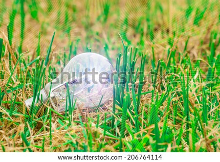 light bulb idea on the grass