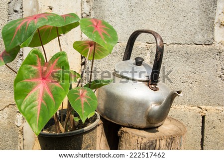 still life with old classic kettle on log with green leaves