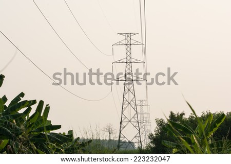the electricity pylon isolated on white and the green bush