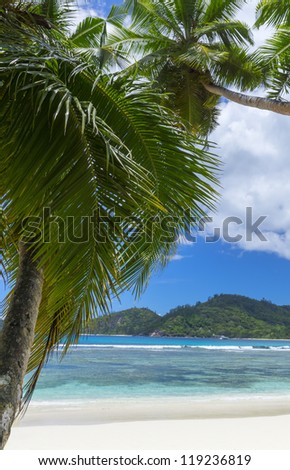 Mahe island, Seychelles. Anse intendance (Beach). The island of dreams for a rest and relaxation. White coral beach sand. A heavenly place.