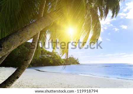 Mahe island, Seychelles. Anse Soleil, lazare bay (Beach). The island of dreams for a rest and relaxation. White coral beach sand. A heavenly place.