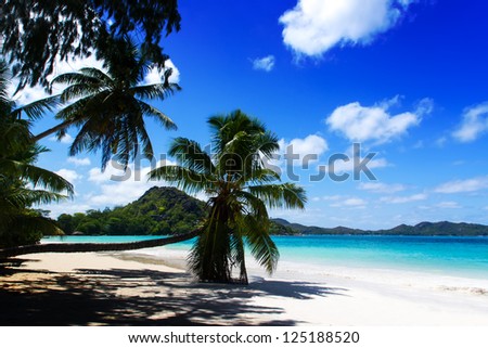 Praslin island, Seychelles. The island of dreams for a rest and relaxation. White coral beach sand. A heavenly place.
