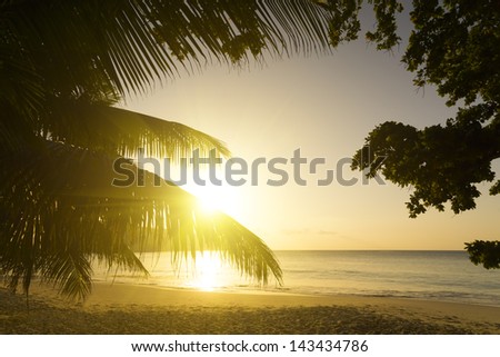 Mahe island, Seychelles. The island of dreams. White coral beach sand.