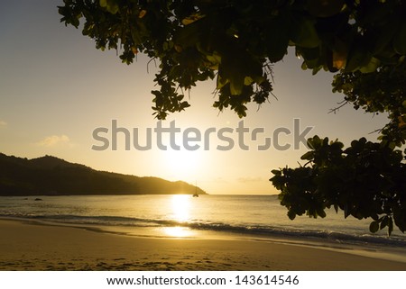 Mahe island, Seychelles. The island of dreams. White coral beach sand.