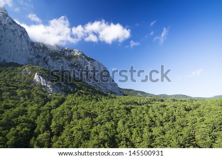 A bird\'s-eye view of Crimea green forest. Alupka. Miskhor.