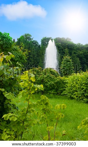 Green park of the nature with a fountain