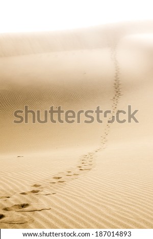 Sand dunes on the beach in Maspalomas. Sand storm.