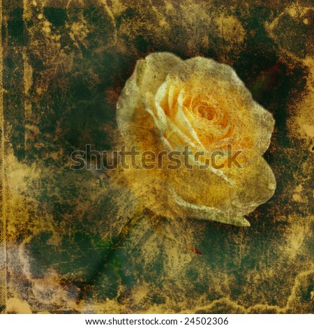 Yellow Rose Wallpaper. stock photo : vintage wallpaper with yellow rose