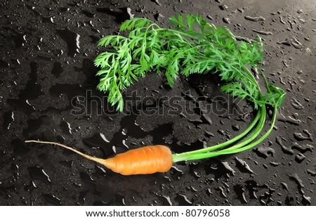fresh carrot with drops on black background