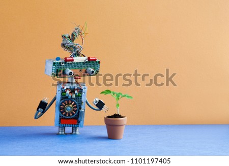 Organic versus artificial inorganic concept. Robot examines a living plant in a clay flower pot. Brown wall blue floor background, copy space