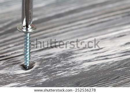 Chrome screw and screwdriver on the gray wood background. soft focus.